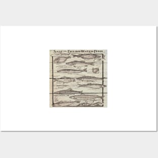 whitewashed wood lakehouse cabin cottage freshwater fishing chart Posters and Art